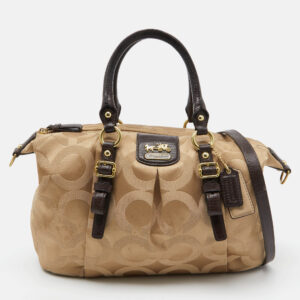 Louis Vuitton Damier Ebene Canvas Venice Sac Plat Bag