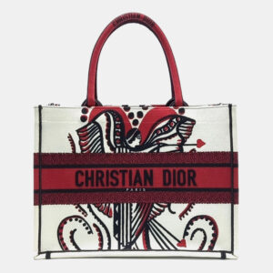 Dior Multicolor Canvas Book Tote Bag 36