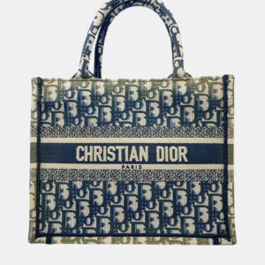 Dior Multicolor Canvas Small Book Tote Bag