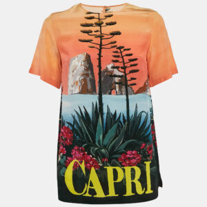 Dolce & Gabbana Multicolor Capri Print Silk Top S