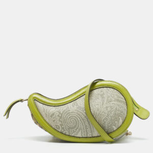 Etro Green/Grey Paisley Coated Canvas and Python Embossed Crossbody Bag
