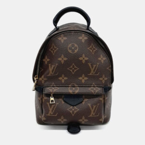 Louis Vuitton Palm Springs Mini Backpack