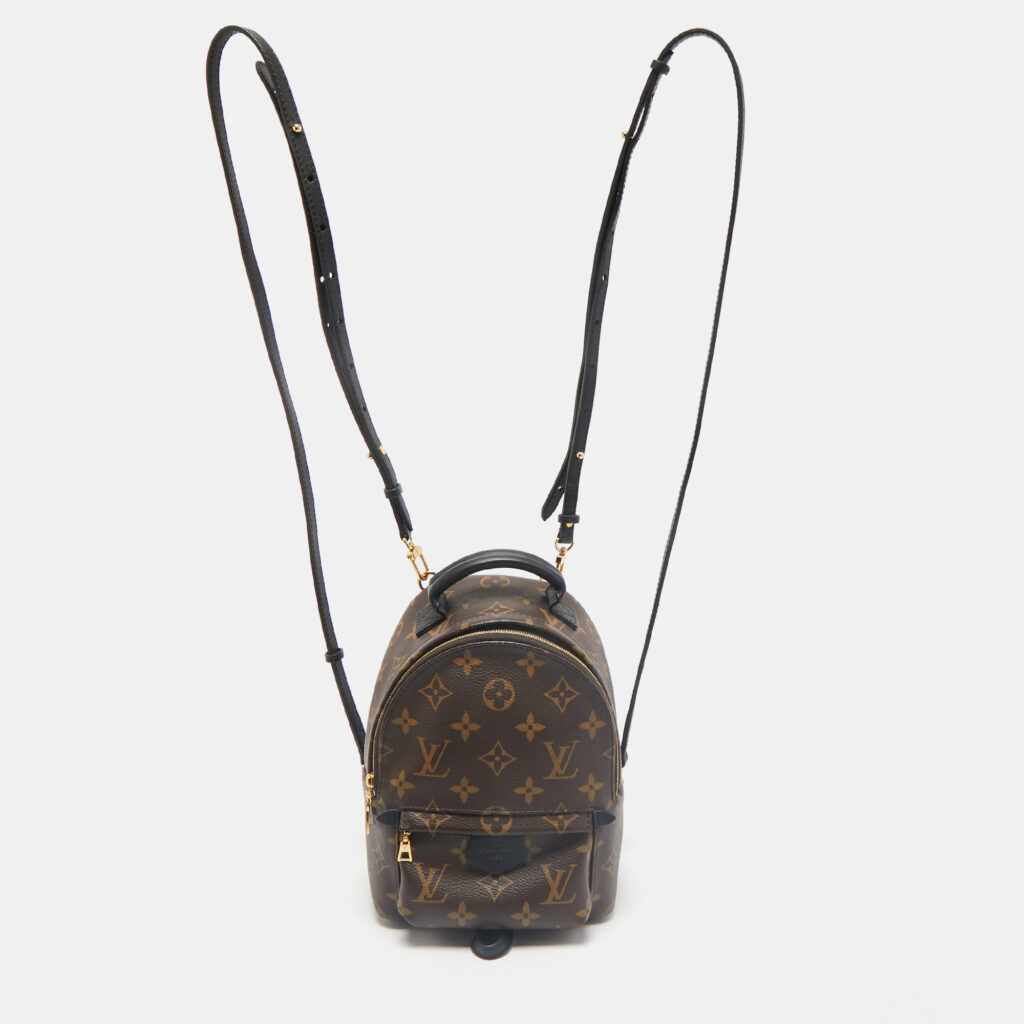 luxury-women-louis-vuitton-used-handbags-p1161391-008 Louis Vuitton Monogram Canvas Mini Palm Springs Backpack