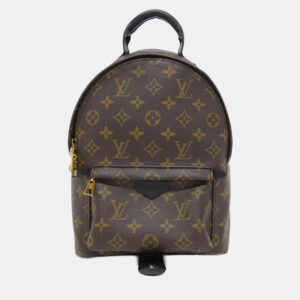 Louis Vuitton Palm Springs PM Brown Monogram Backpack