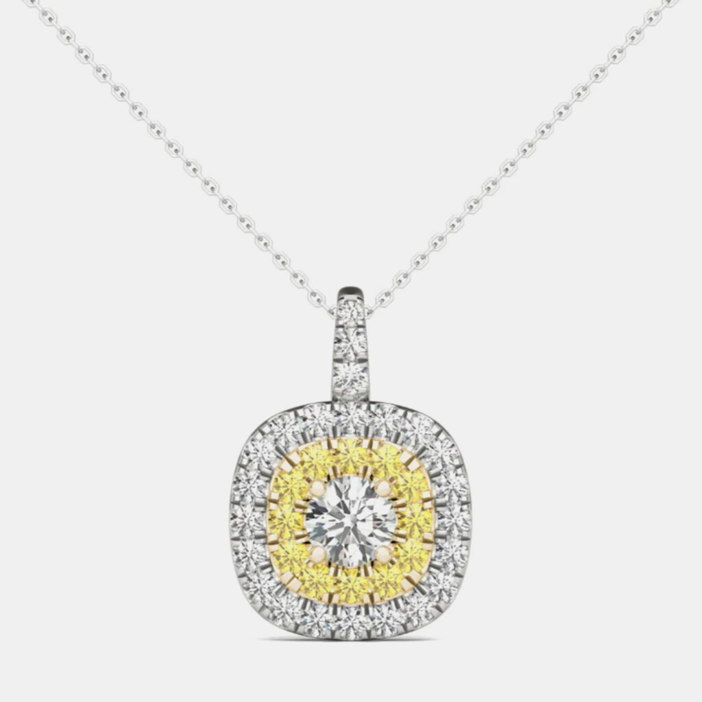 14K White Gold Natural Diamond Double Halo Pendant (1.00 Ctw)