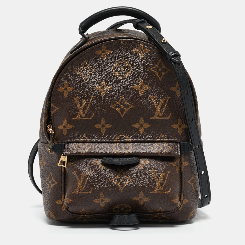 Louis Vuitton Monogram Canvas Mini Palm Springs Backpack