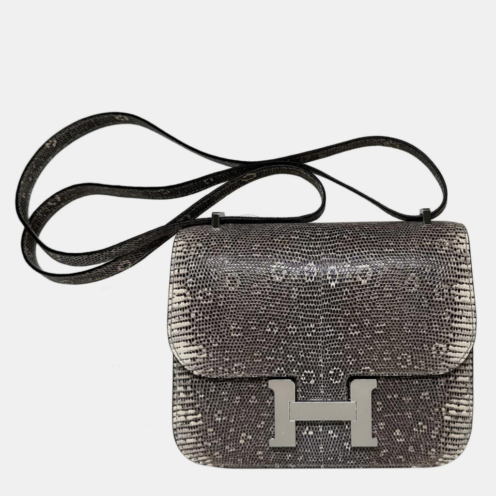 Hermes Lizard Ombre Constance Mirror 18 bag PHW