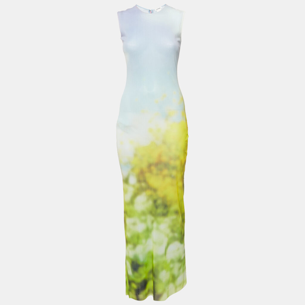 Acne Studios Blue Blurred Print Mesh Maxi Dress XS Acne Studios Blue Blurred Print Mesh Maxi Dress XS