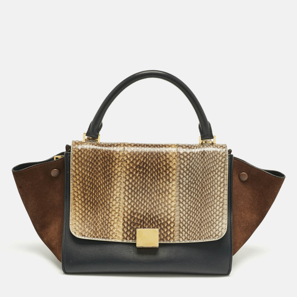 Celine Tricolor Leather and Snakeskin Small Trapeze Top Handle Bag Celine Tricolor Leather and Snakeskin Small Trapeze Top Handle Bag