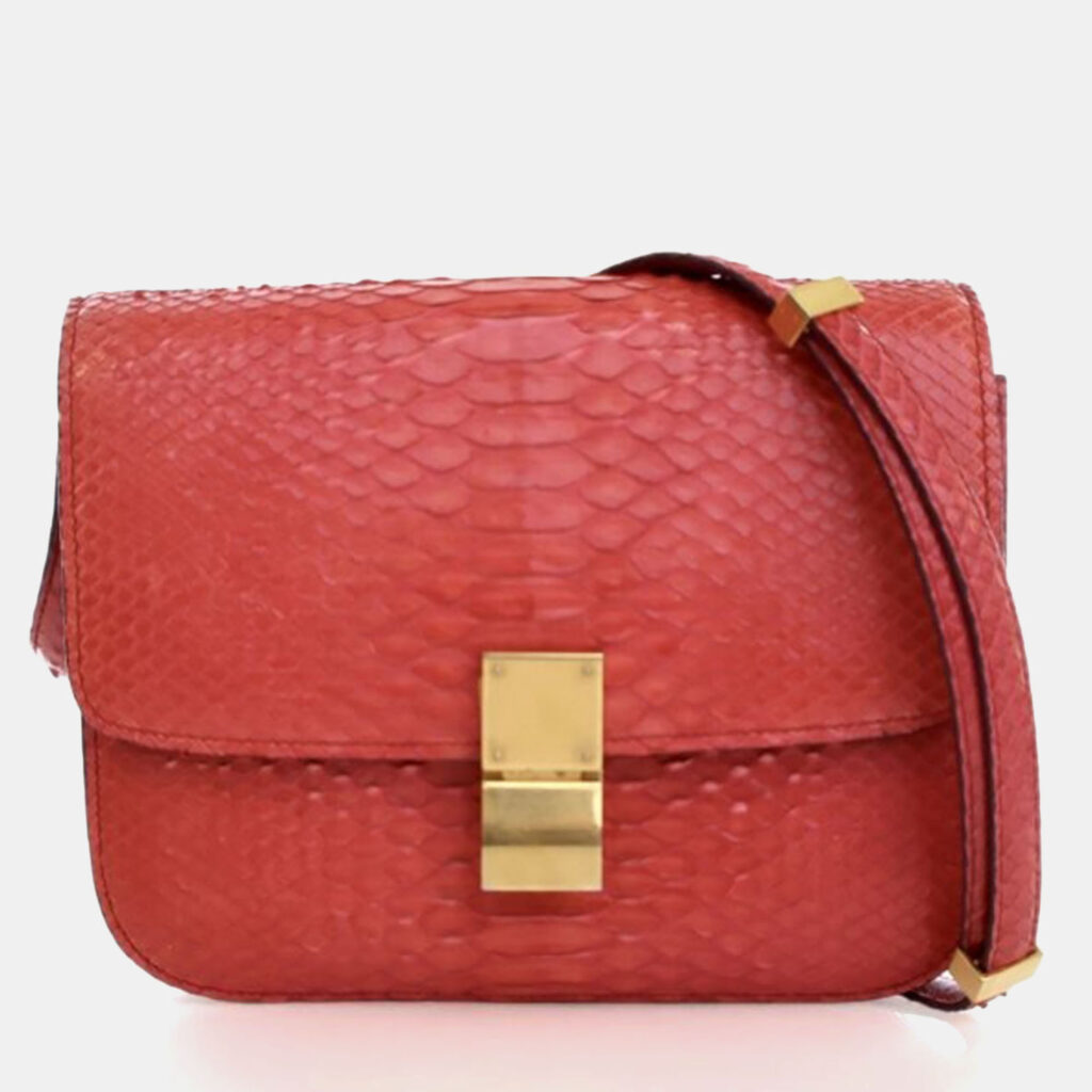 Celine Medium Python Box Bag