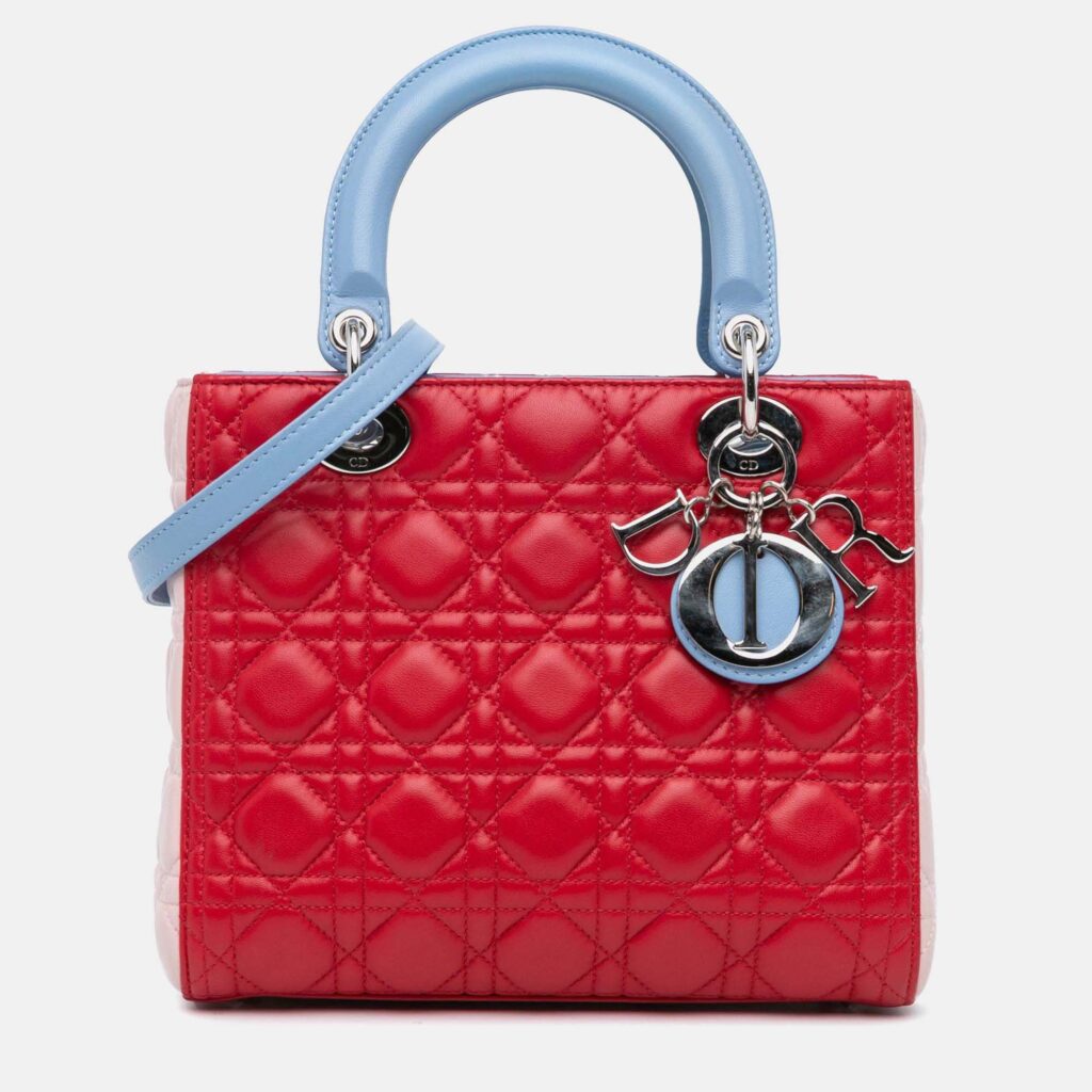 Dior Lady Dior Medium Tricolor Lambskin Handbag Dior Lady Dior Medium Tricolor Lambskin Handbag