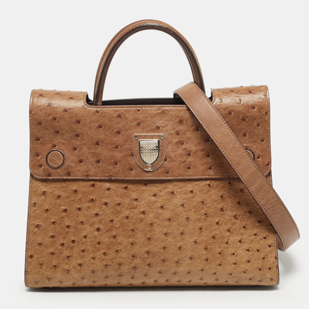 Dior Brown Ostrich Medium Diorever Top Handle Bag
