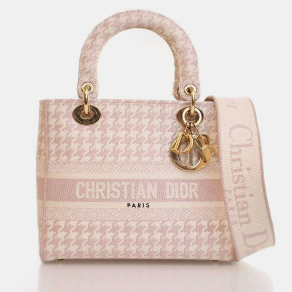 Dior Medium Canvas D-Lite