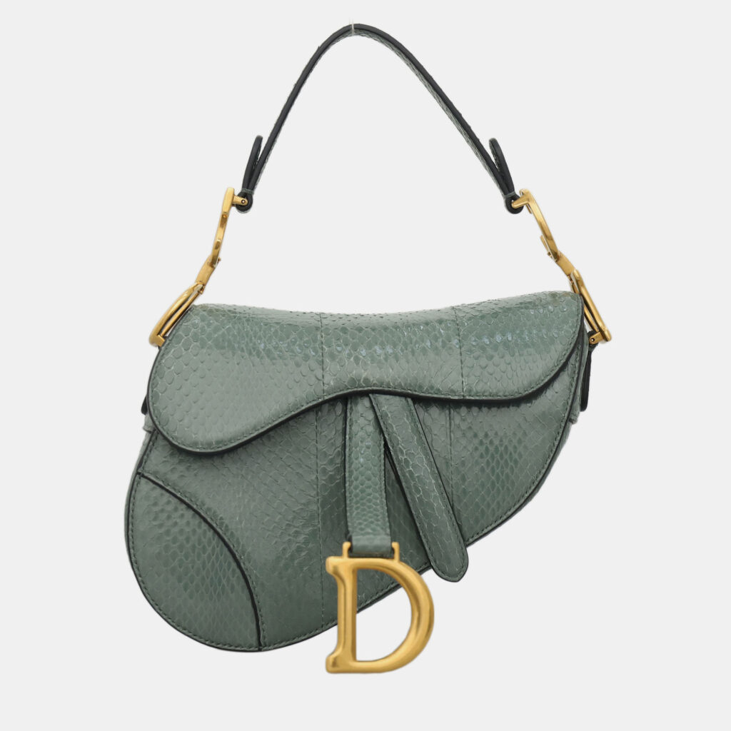 Dior Python Mini Saddle Bag