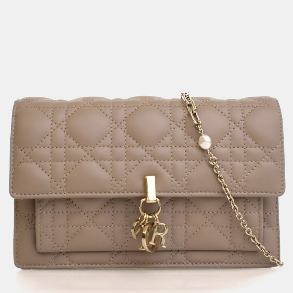 Dior Lambskin Daily Pouch With Chain