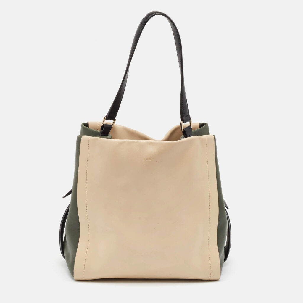DKNY Beige/Fatigue Green Leather Hobo DKNY Beige/Fatigue Green Leather Hobo