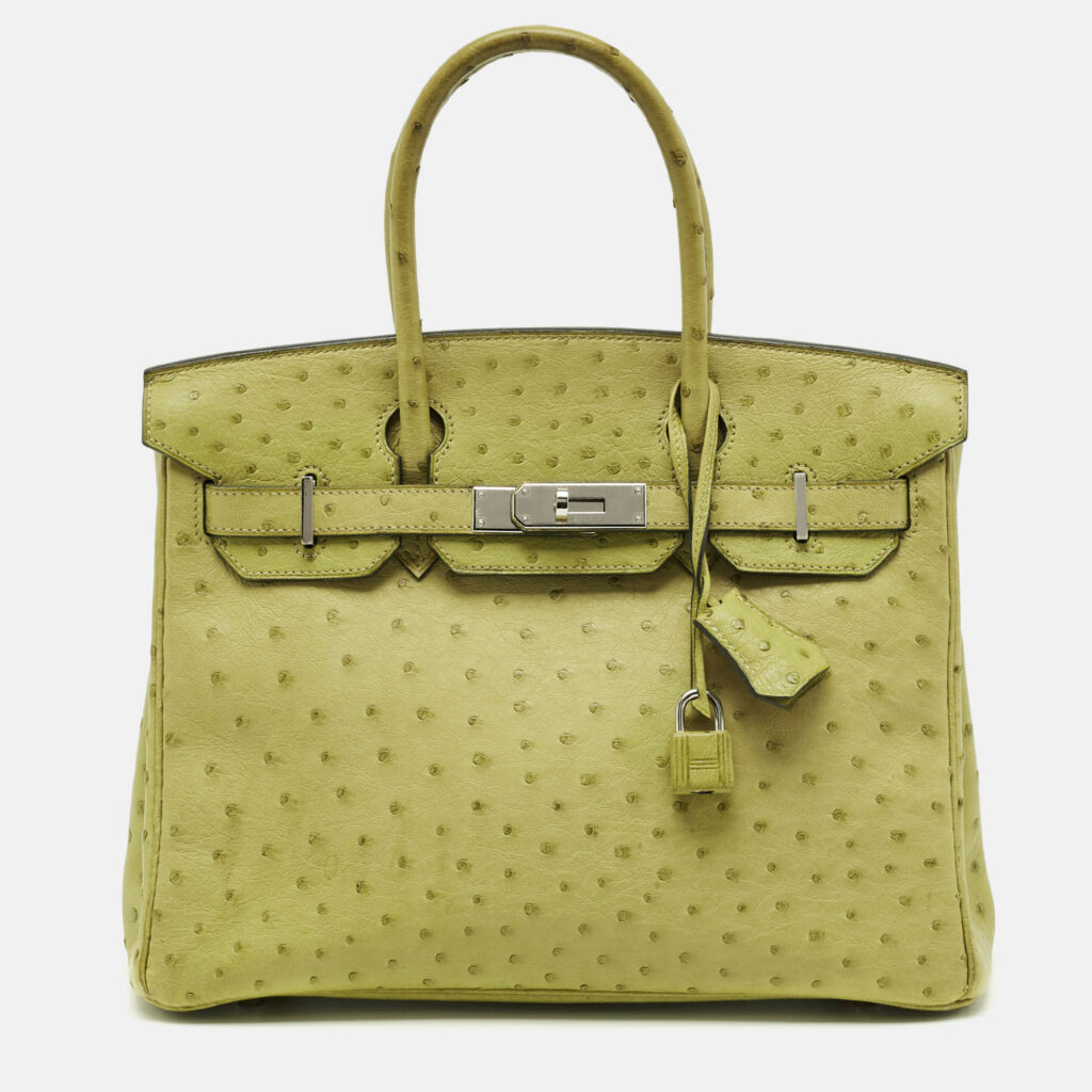 Hermes Vert Anis Ostrich Palladium Finish Birkin 30 Bag Hermes Vert Anis Ostrich Palladium Finish Birkin 30 Bag