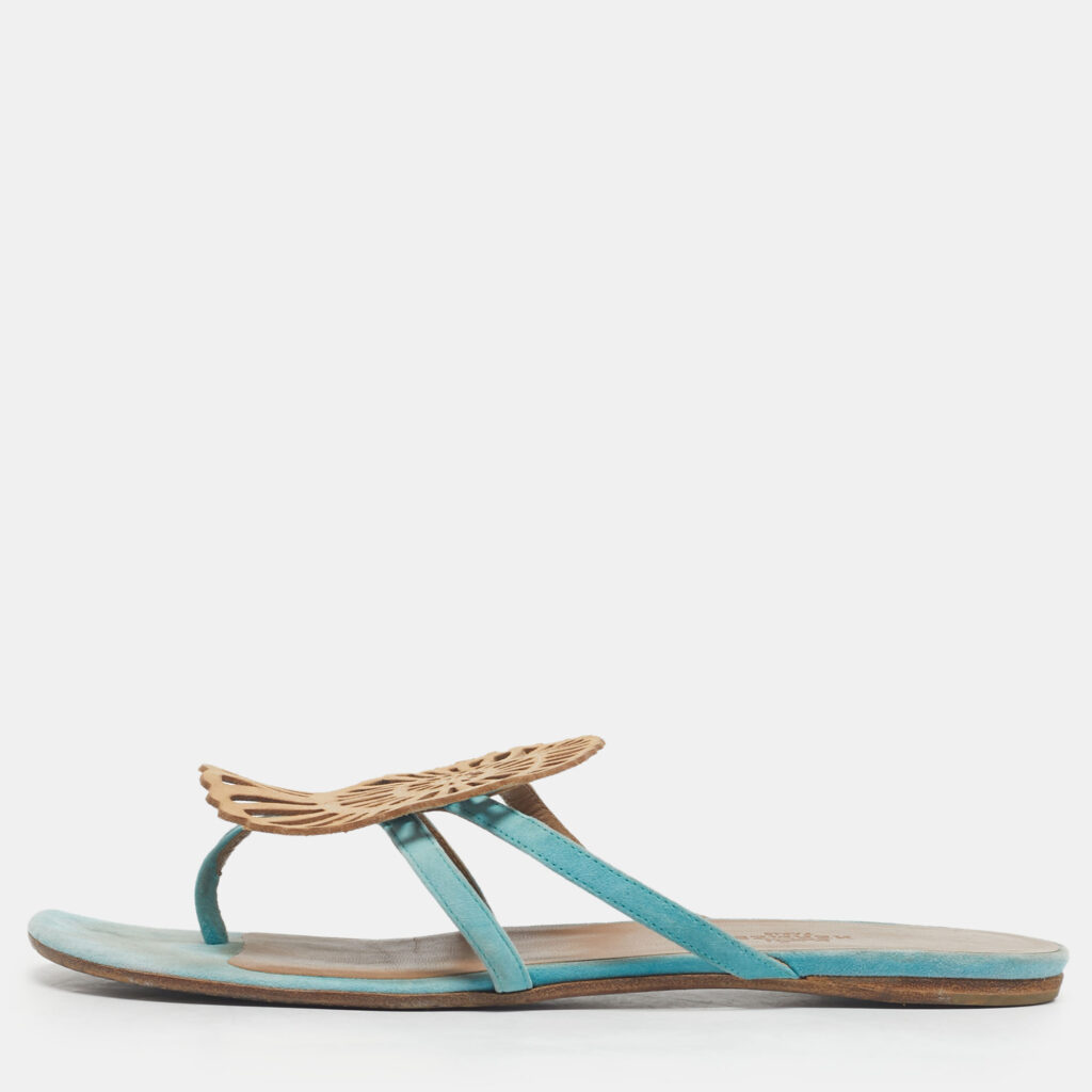 Hermes Blue/Brown Suede Nautilus Thong Slides Size 39 Hermes Blue/Brown Suede Nautilus Thong Slides Size 39