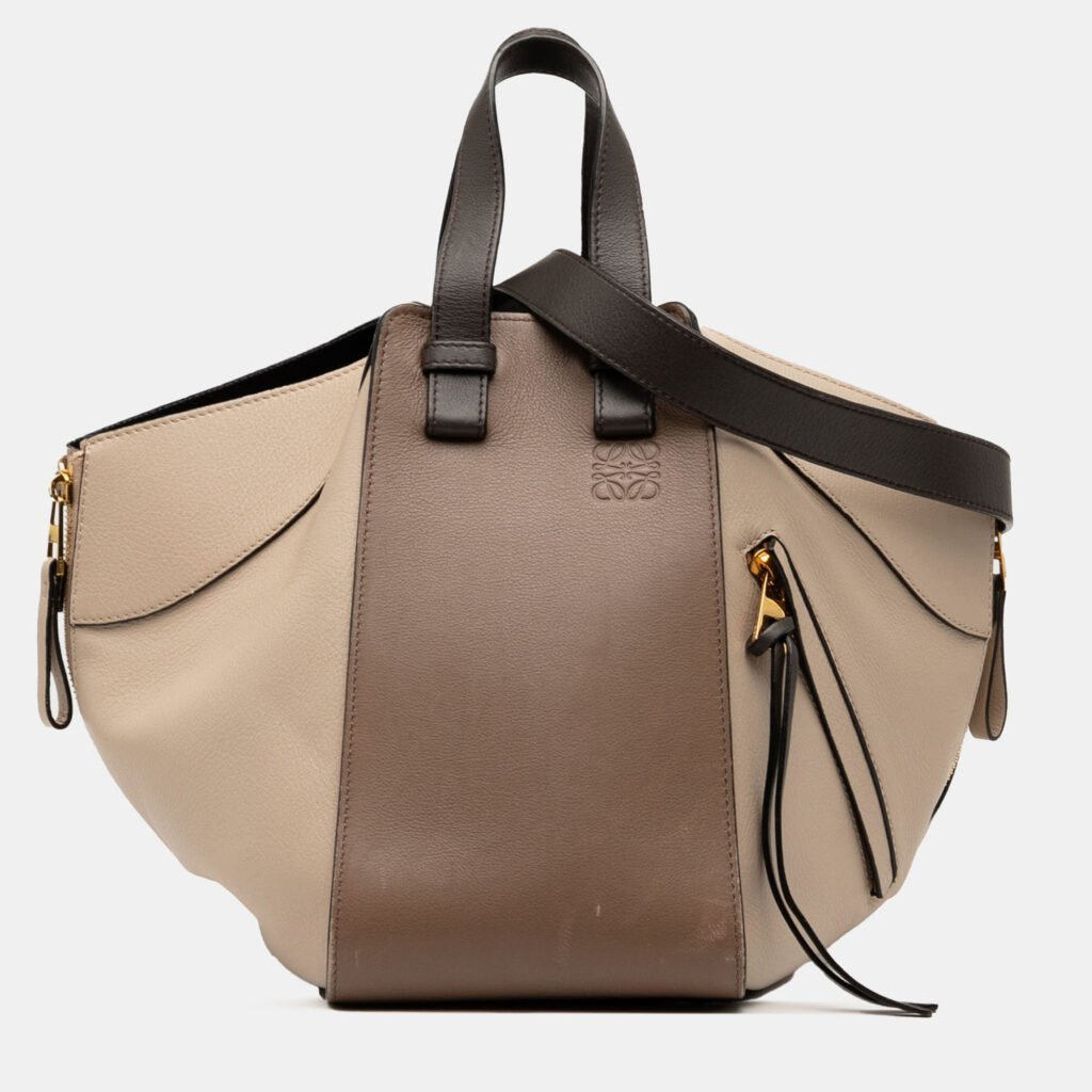 Loewe Brown Small Tricolor Soft Grained Calfskin Hammock Bag