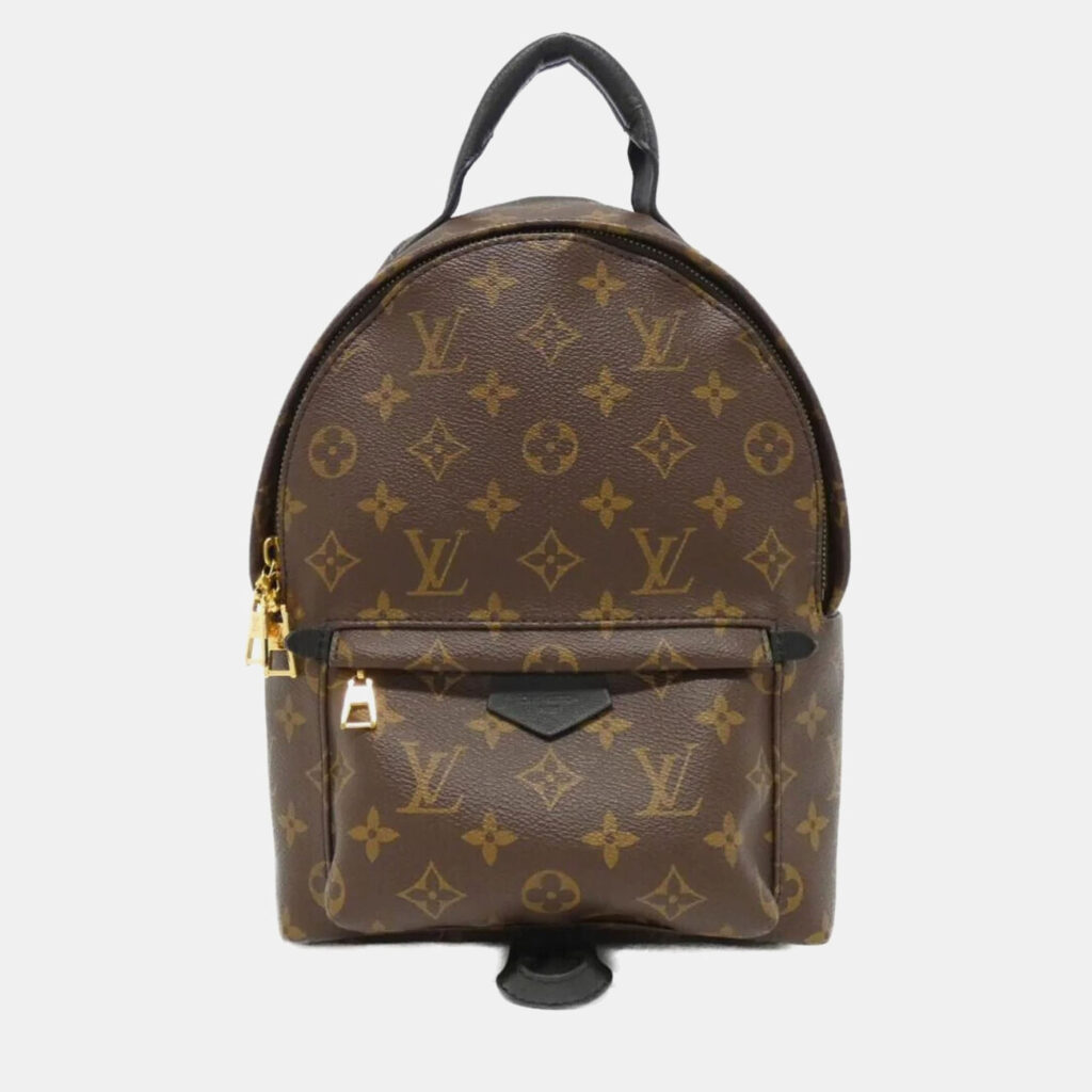 Louis Vuitton Palm Springs PM Monogram Canvas Backpack Louis Vuitton Palm Springs PM Monogram Canvas Backpack