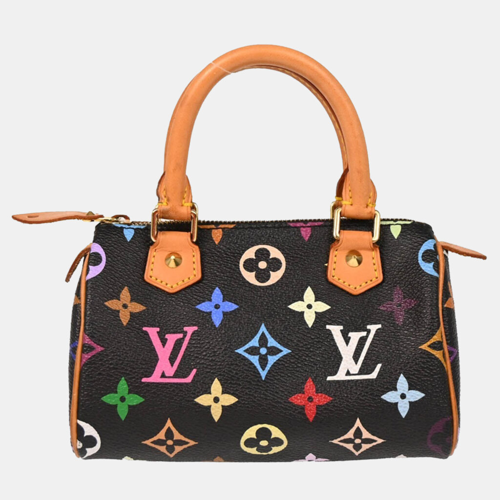 Louis Vuitton Multicolor Mini Speedy Handbag