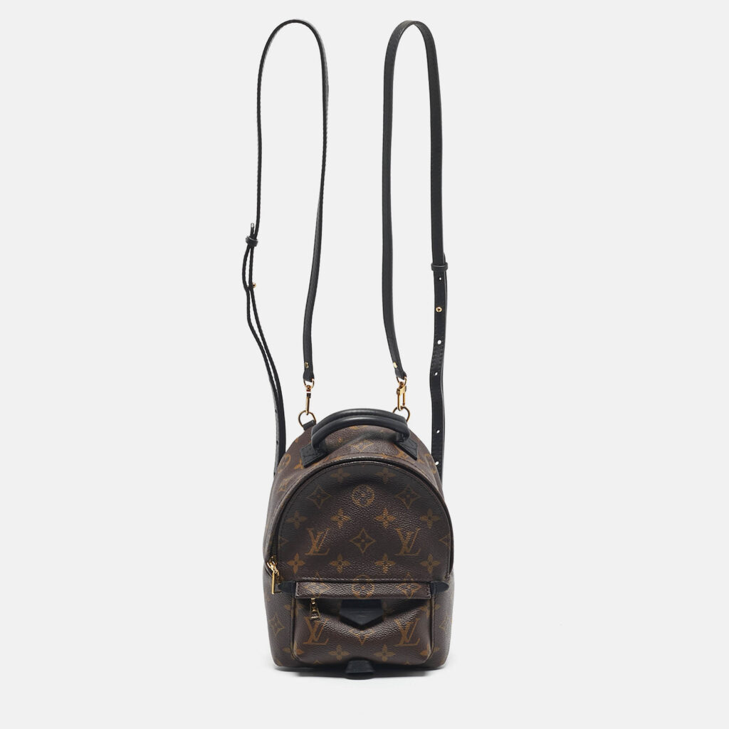 Louis Vuitton Monogram Canvas Mini Palm Springs Backpack Louis Vuitton Monogram Canvas Mini Palm Springs Backpack