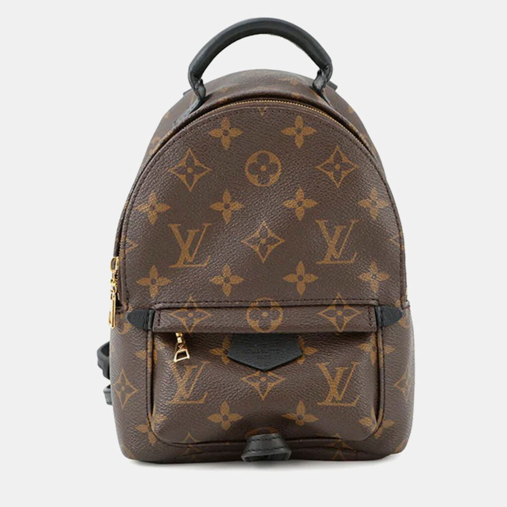 Louis Vuitton Palm Springs Mini Noir Monogram Canvas Backpack Louis Vuitton Palm Springs Mini Noir Monogram Canvas Backpack