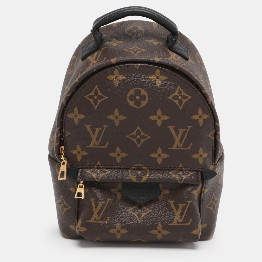 Louis Vuitton Monogram Canvas Mini Palm Springs Backpack Louis Vuitton Monogram Canvas Mini Palm Springs Backpack