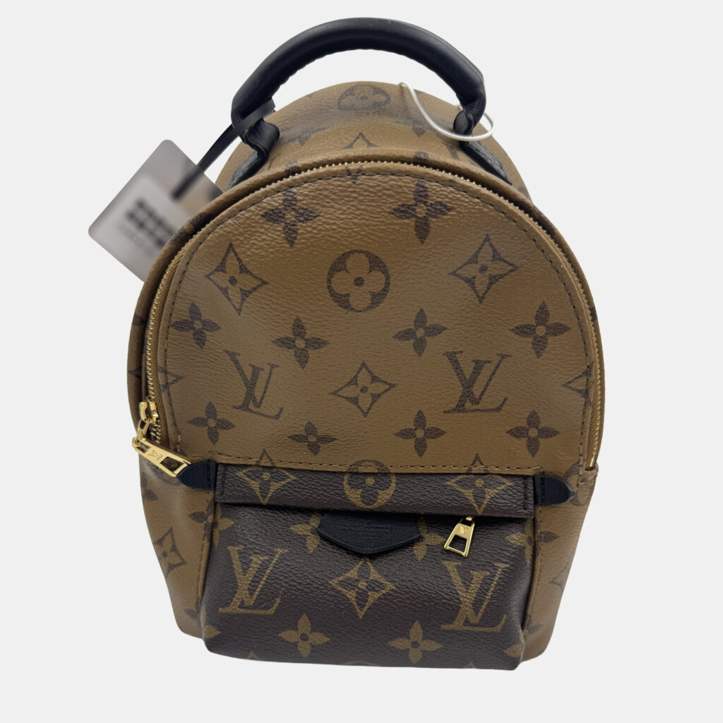 Louis Vuitton Monogram Canvas Mini Palm Springs Backpack Louis Vuitton Monogram Canvas Mini Palm Springs Backpack