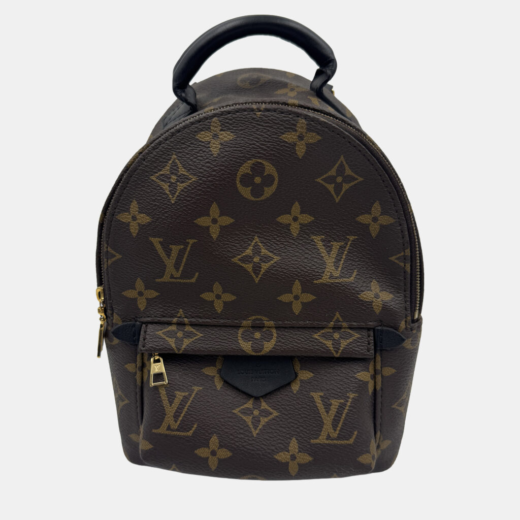 Louis Vuitton Monogram Canvas Mini Palm Springs Backpack Louis Vuitton Monogram Canvas Mini Palm Springs Backpack