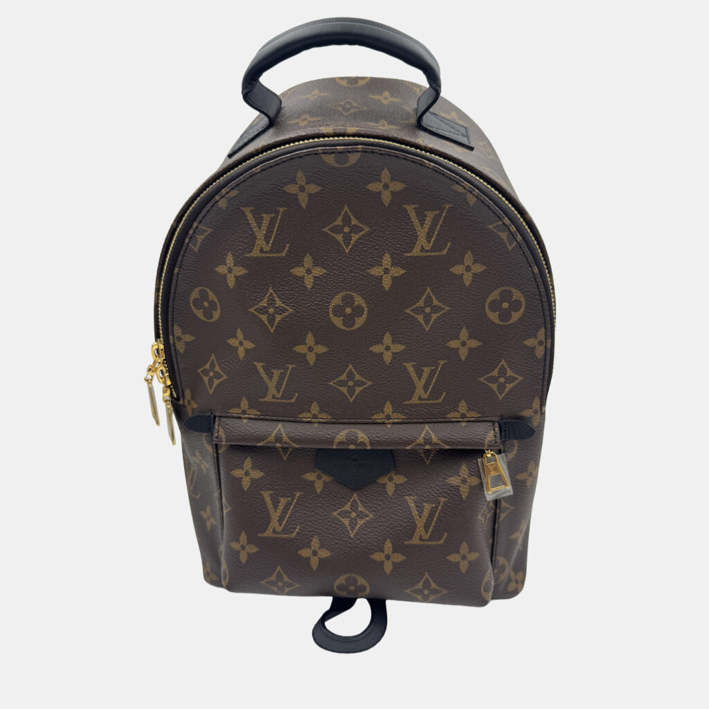 Louis Vuitton Palm Springs PM Monogram Canvas Backpack Louis Vuitton Palm Springs PM Monogram Canvas Backpack