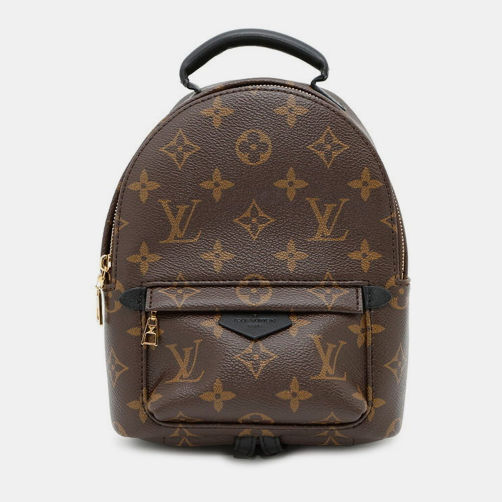 Louis Vuitton Monogram Palm Springs Backpack Mini Louis Vuitton Monogram Palm Springs Backpack Mini
