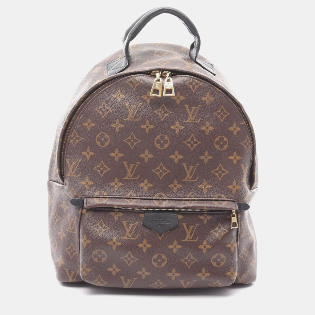 Louis Vuitton Palm Springs Backpack MM Coated Canvas And Leather Monogram Brown Black
