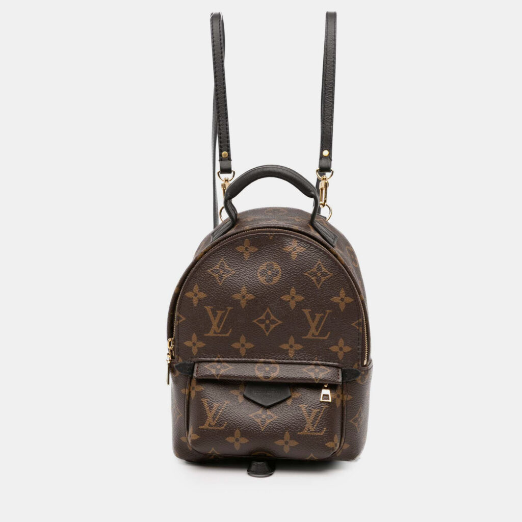 Louis Vuitton Monogram Mini Palm Springs Louis Vuitton Monogram Mini Palm Springs