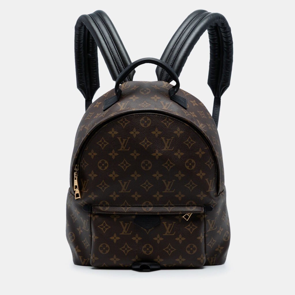 Louis Vuitton Monogram Palm Springs MM Louis Vuitton Monogram Palm Springs MM